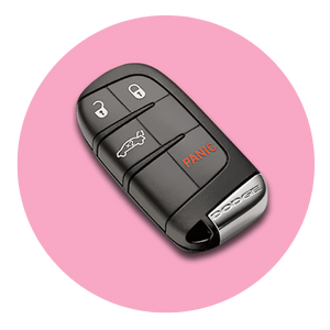 Keyless Entry Fobs