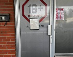 Commercial Door Security Plate